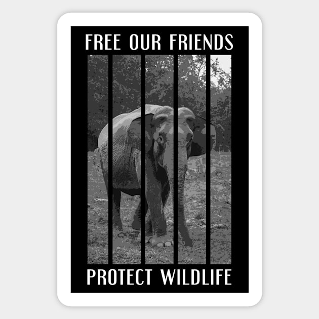 free our friends - elephants Sticker by Protect friends